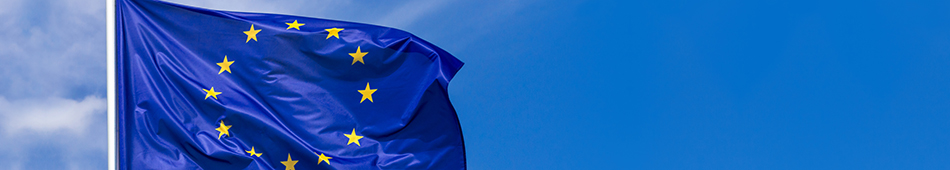Flagge Europa.jpg
